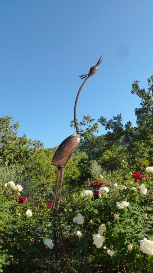 Le Vallon Des Oliviers Bed & Breakfast Montauroux Dış mekan fotoğraf