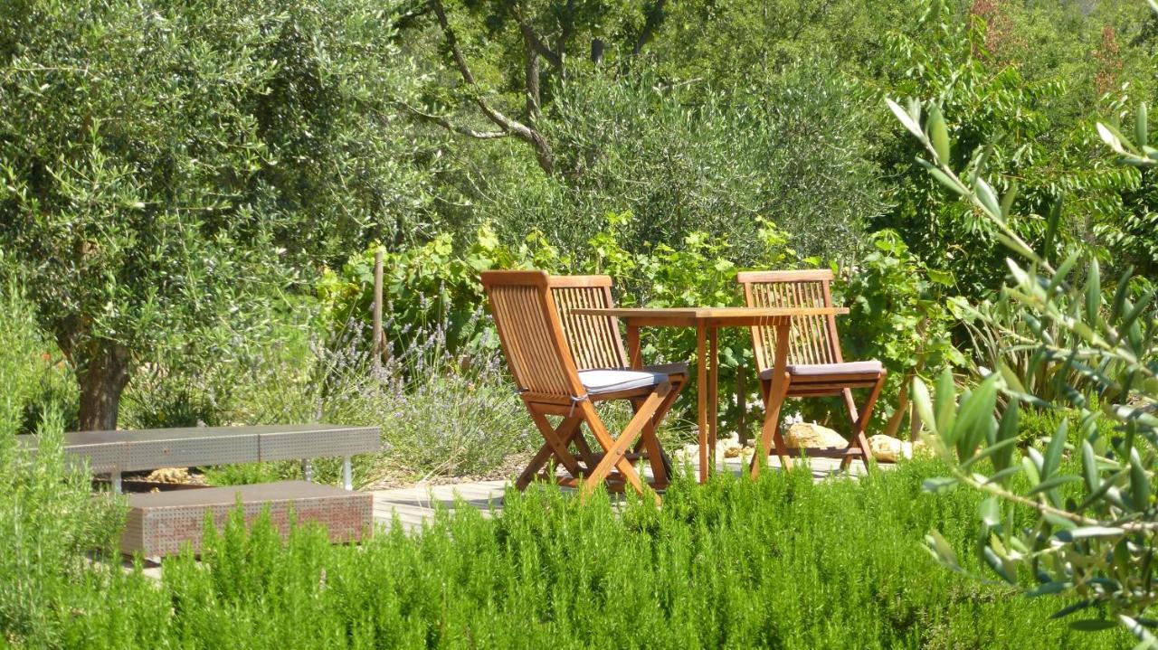 Le Vallon Des Oliviers Montauroux Dış mekan fotoğraf